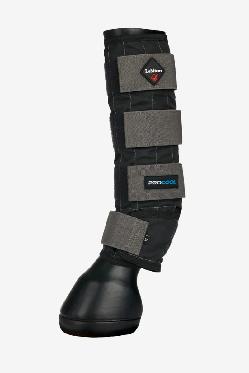 LeMieux Cold Water Boot